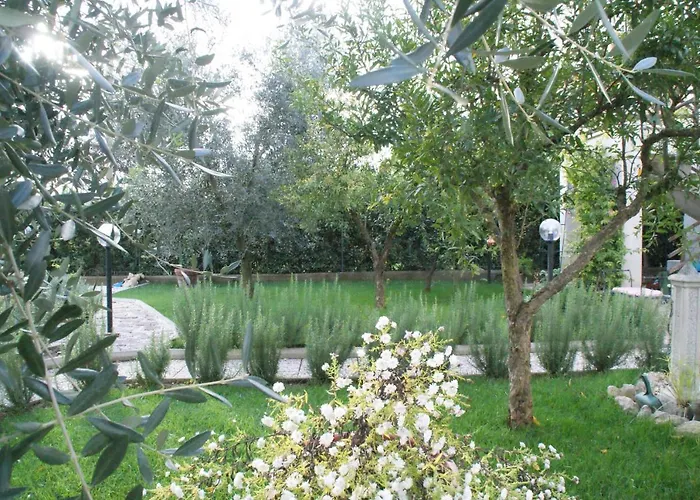 Bed&Breakfast Degli Ulivi