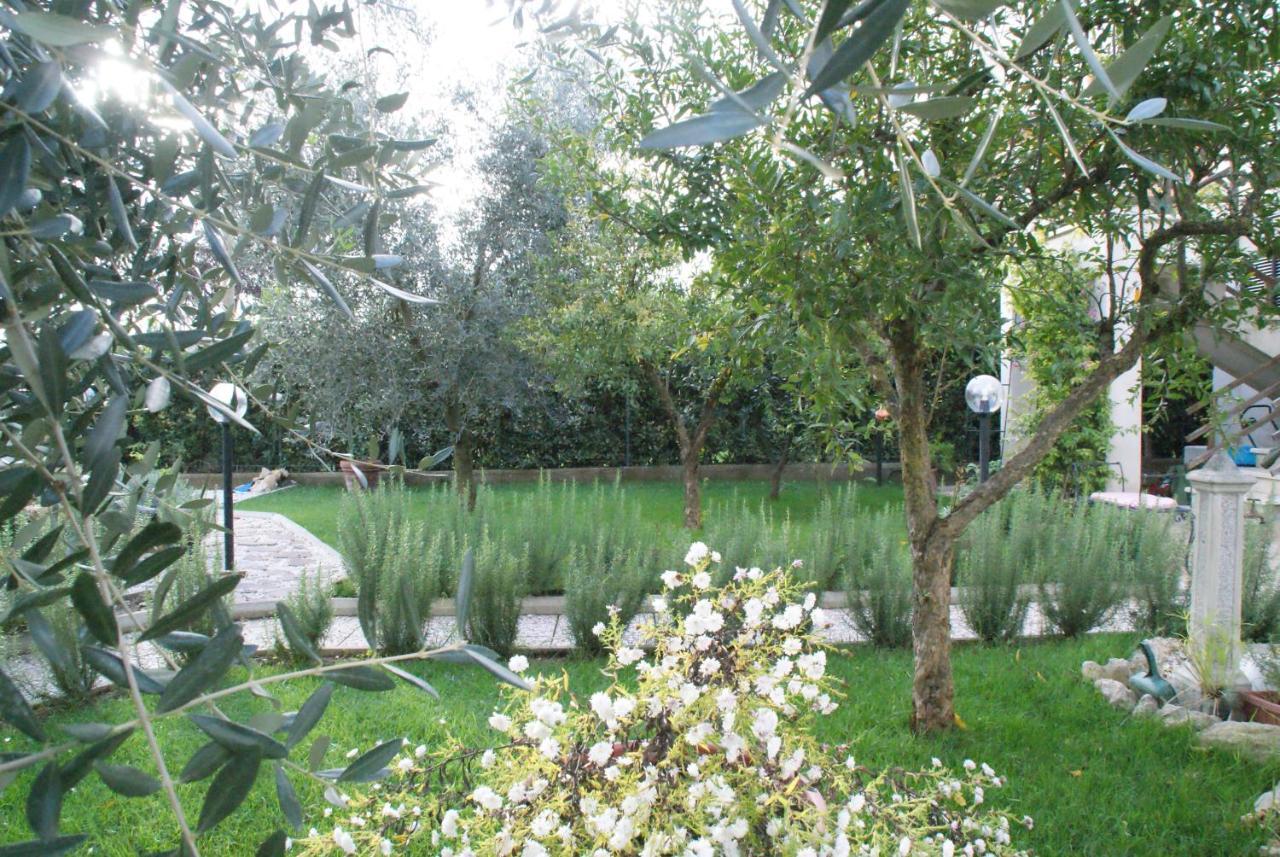 Bed & Breakfast Degli Ulivi 3*